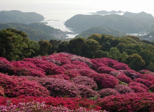 長串山公園