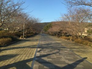 橘公園 | 出張BBQ！いつでも・どこでも手ぶらでバーベキュー(No.106)