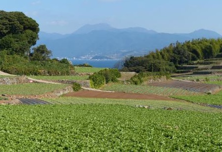 国崎公園 キャンプ場