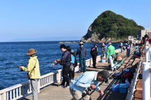 高島 手ぶらで手軽に♪子どもも楽しめるサビキ釣り体験(No.102)