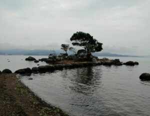 玖島崎キャンプ場｜いつでも・どこでも手ぶらでバーベキュー(No.98)