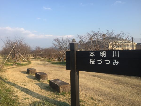 本明川桜づつみ